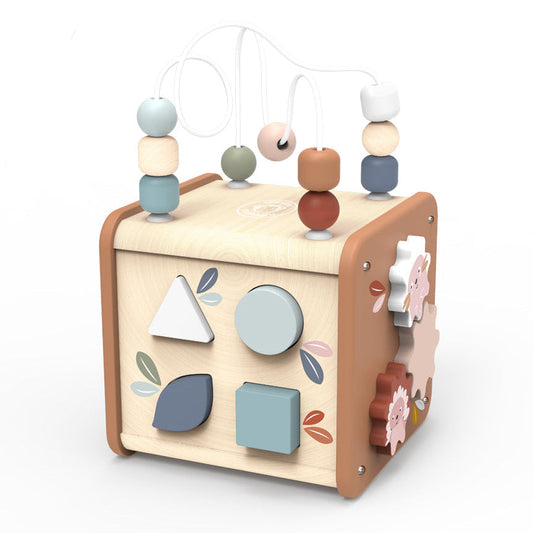 Speedy Monkey - 5-in-1 Activity Cube - Infants
