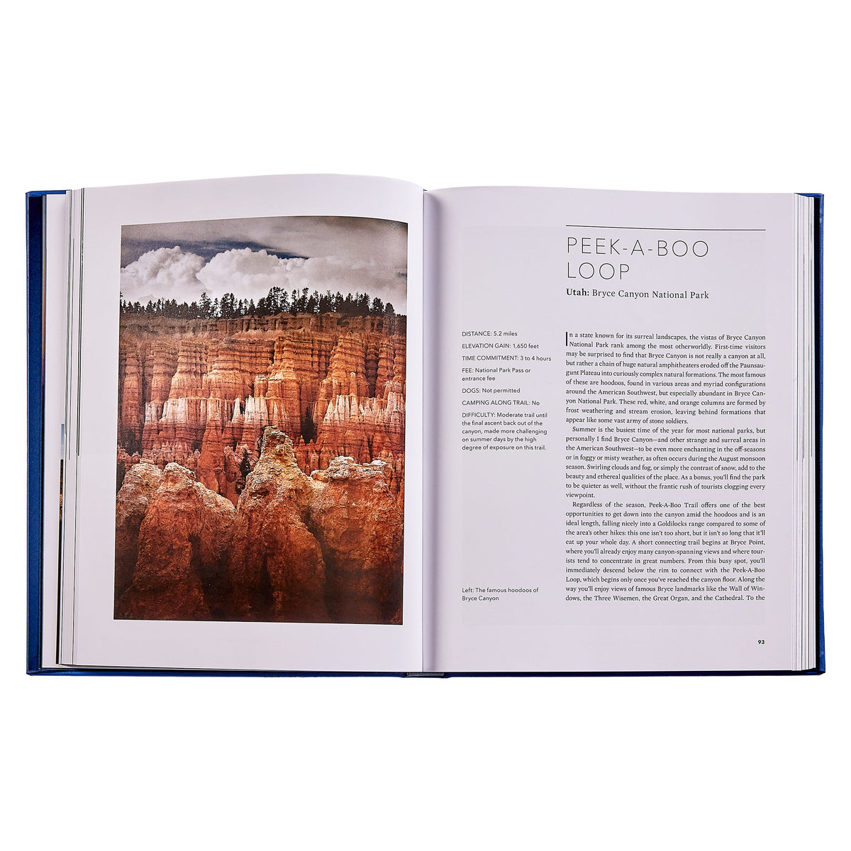 Graphic Image - America's Best Day Hikes: Spectacular Single-Day Hikes Across the States Book Leather Edition - Books