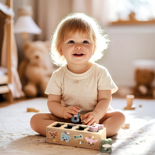 Speedy Monkey - Animal Shape Sorter Box - Infants