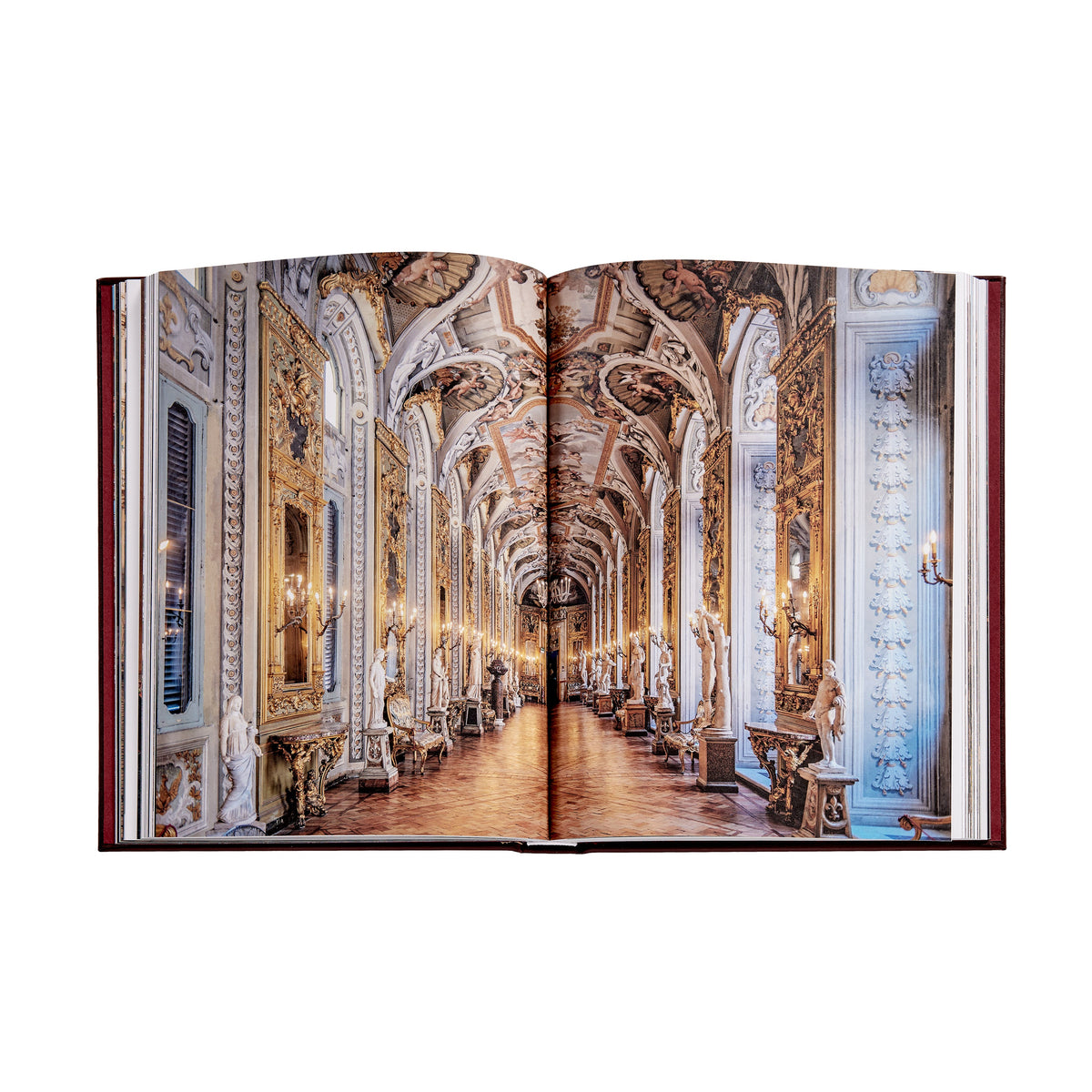 Graphic Image - Trope Rome Book Leather Edition - Books